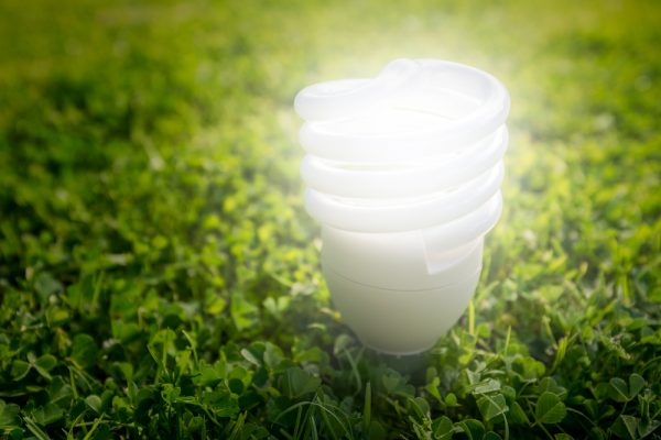 Global Environmental Lighting Increases Cash Flow with Payfirma Featured Image