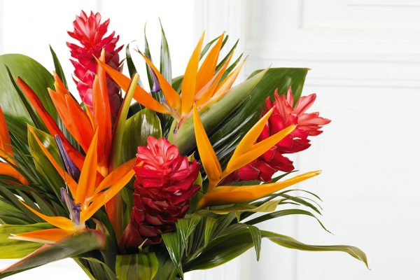 Toronto Flower Company Uses Payfirma To Support Online Growth Featured Image